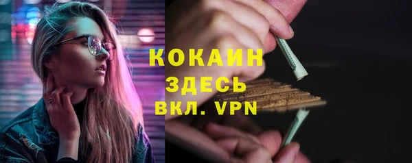 альфа пвп Бородино