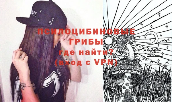 тгк Белокуриха