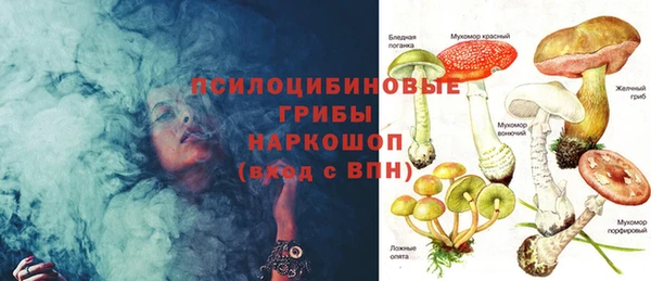 тгк Белокуриха
