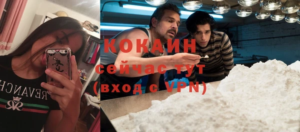 тгк Белокуриха